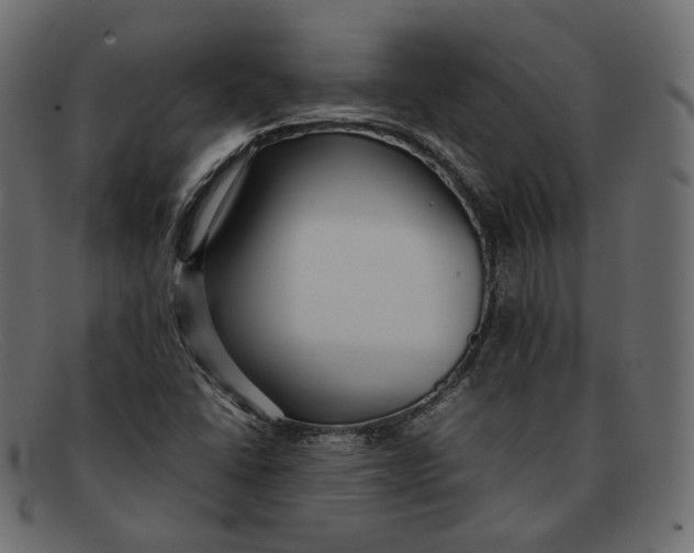 X0000092061406200710101025