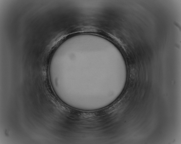 X0000092061407200710101025