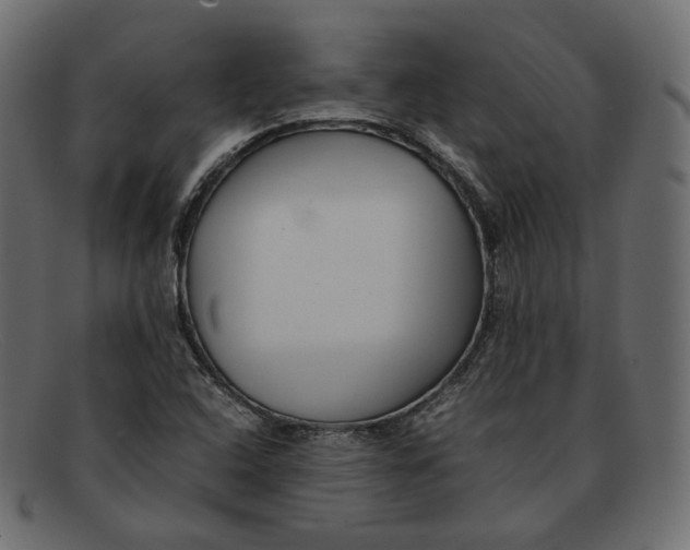 X0000092061408200710101025