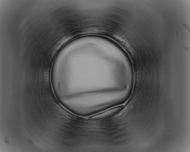 X0000092061409200710101025