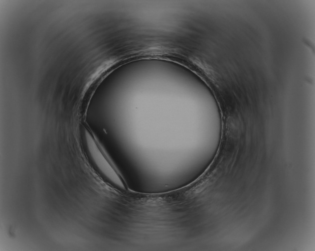 X0000092061410200710101025