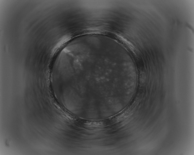 X0000092061411200710101025