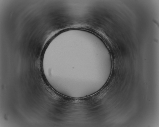 X0000092061412200710101025