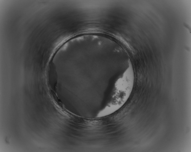 X0000092061413200710101025