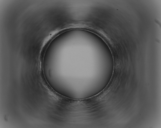 X0000092061414200710101025