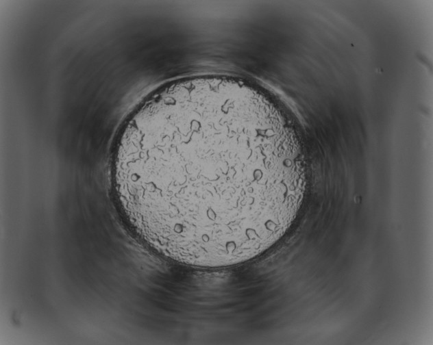 X0000092061415200710101025