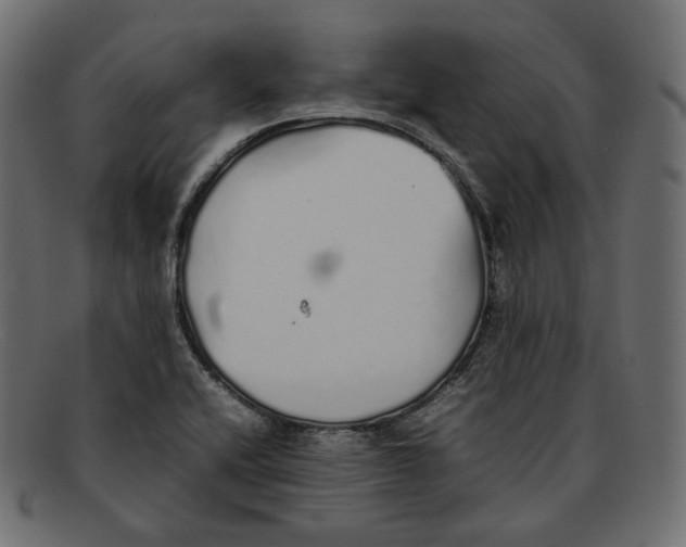 X0000092061416200710101025