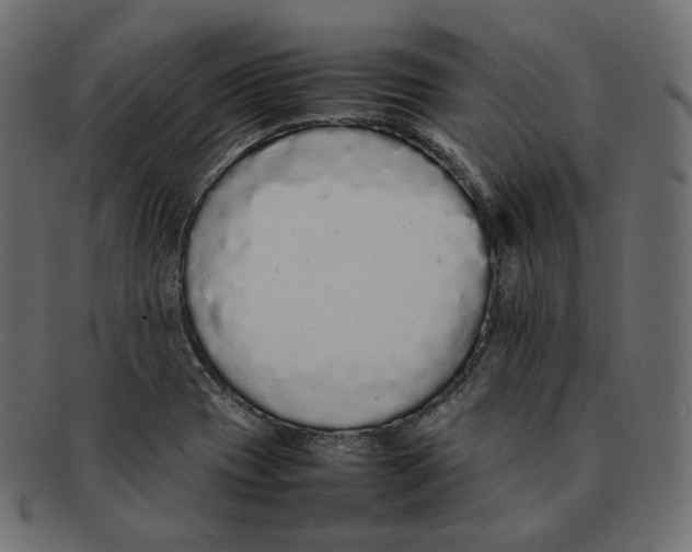 X0000092061417200710101025