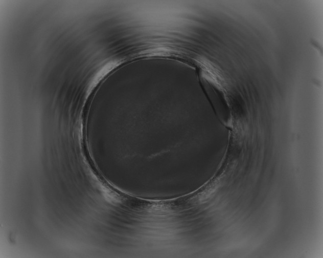 X0000092061418200710101025