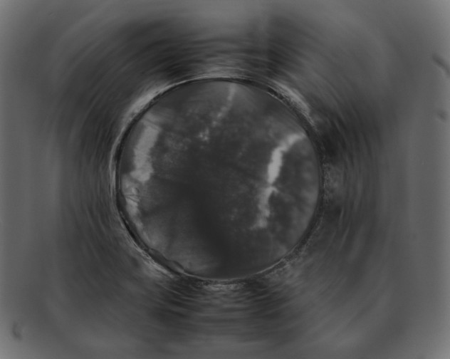 X0000092061419200710101025