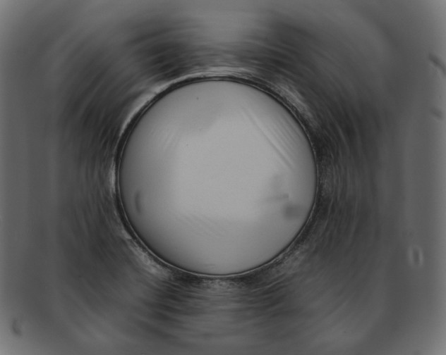 X0000092061420200710101025