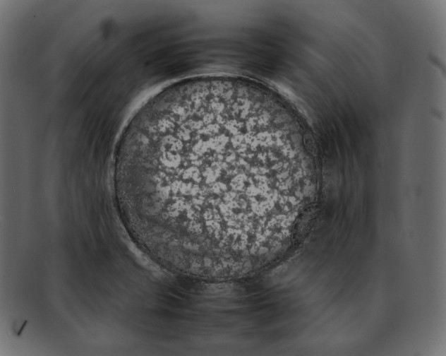 X0000092061421200710101025