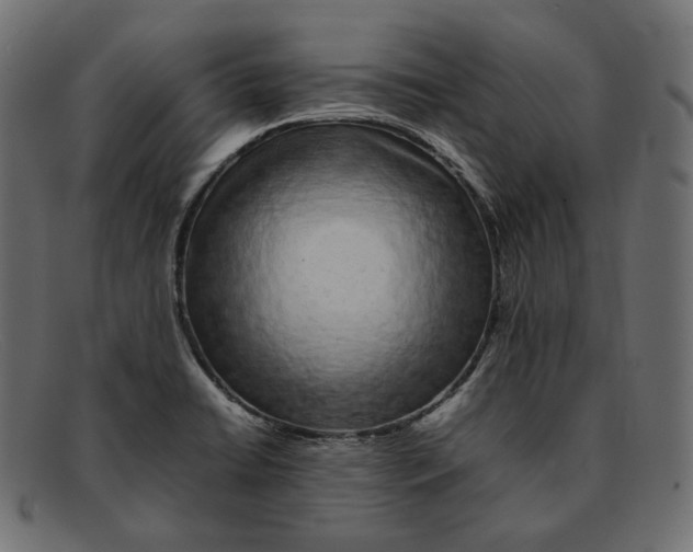 X0000092061422200710101025