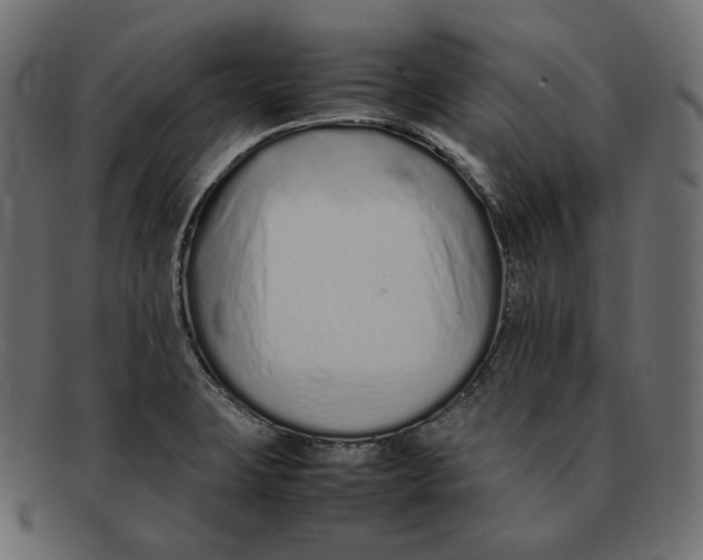 X0000092061423200710101025