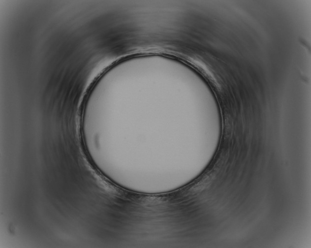 X0000092061424200710101026