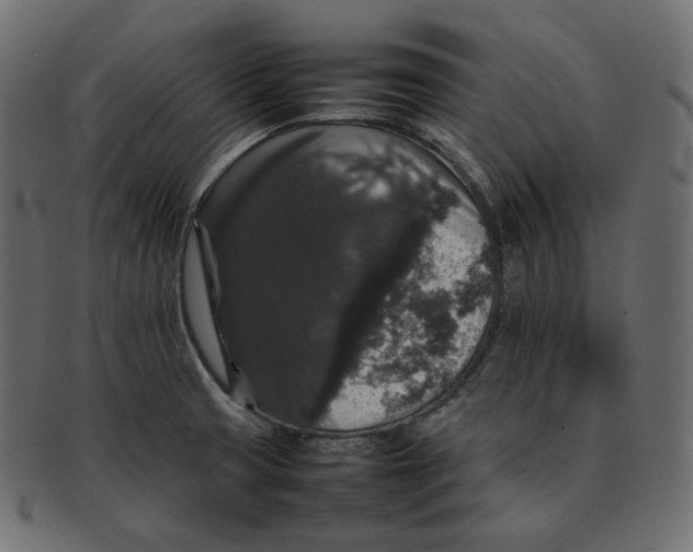 X0000092061425200710101026