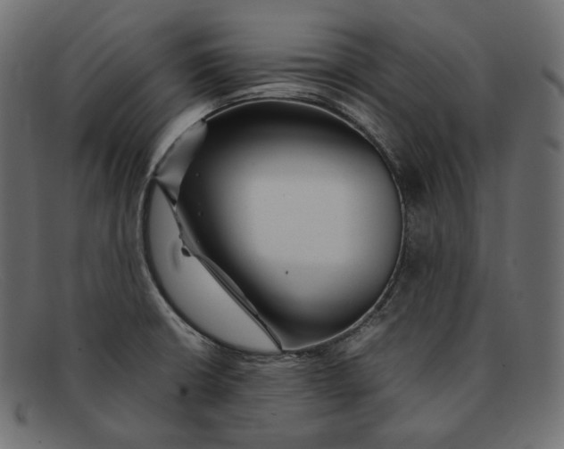 X0000092061426200710101026