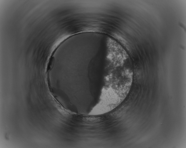 X0000092061427200710101026