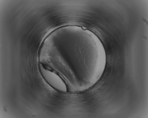 X0000092061428200710101026