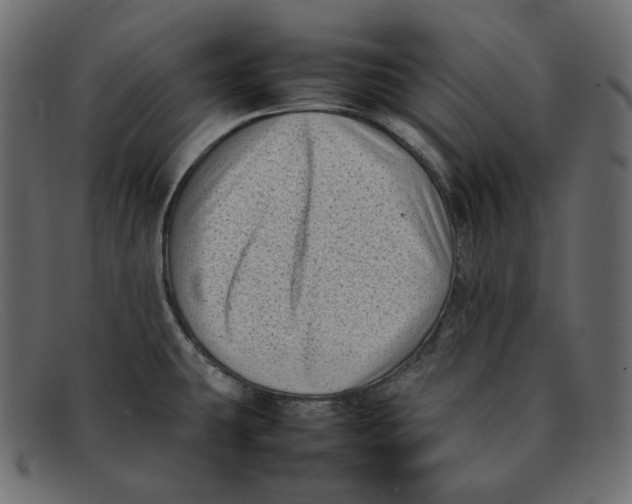 X0000092061431200710101026