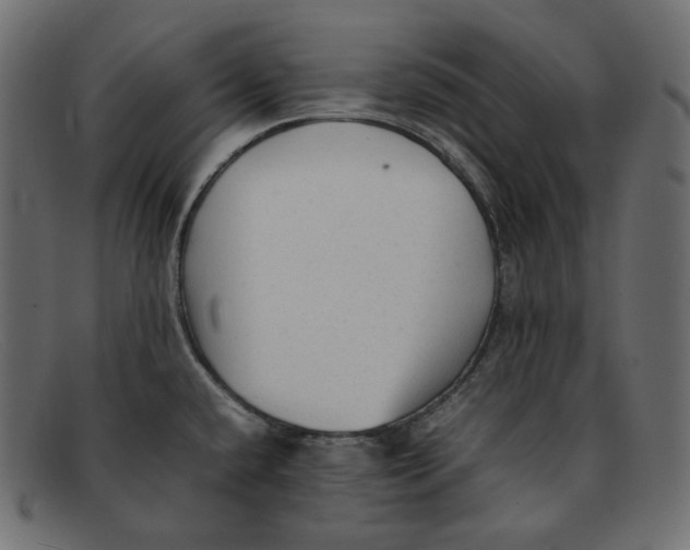 X0000092061432200710101026