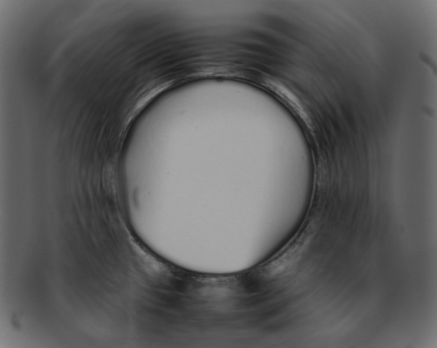 X0000092061433200710101026