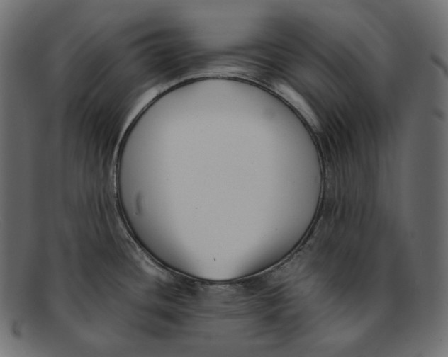 X0000092061436200710101026