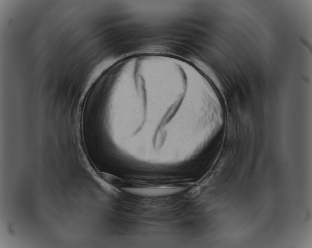 X0000092061437200710101026