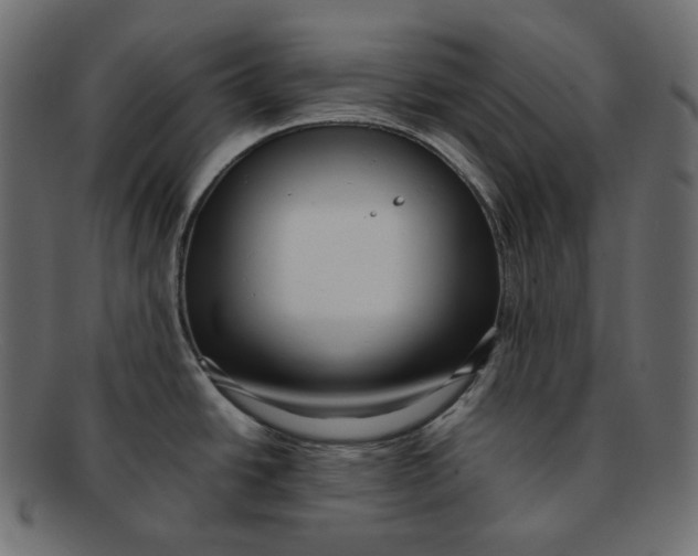 X0000092061438200710101026