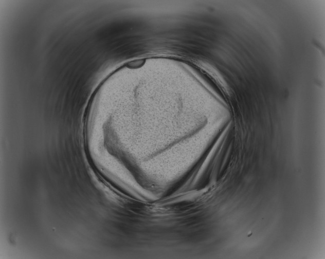 X0000092061439200710101026