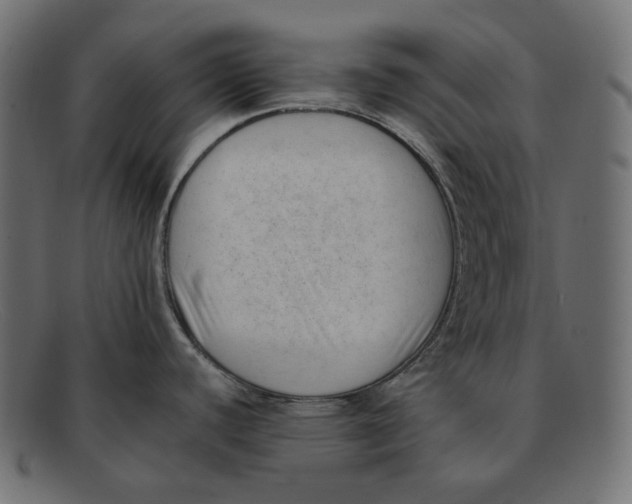 X0000092061440200710101026