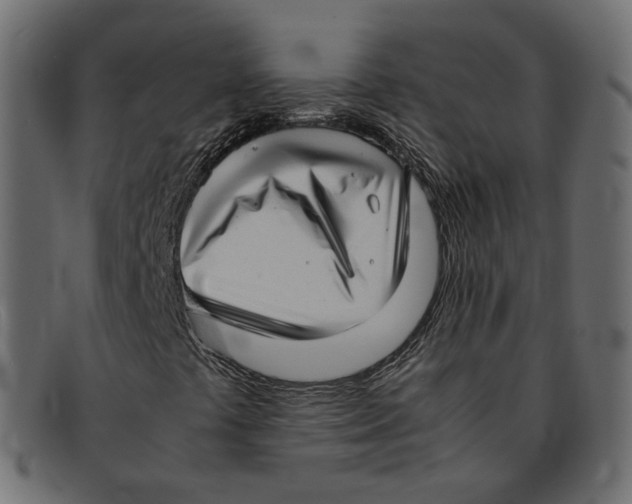 X0000092061441200710101025