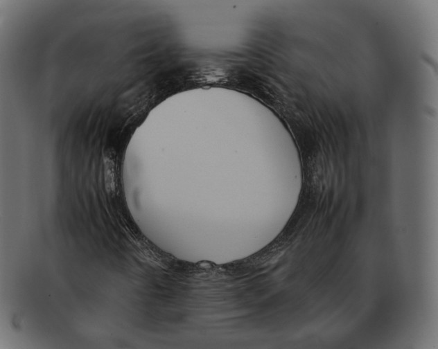 X0000092061442200710101025