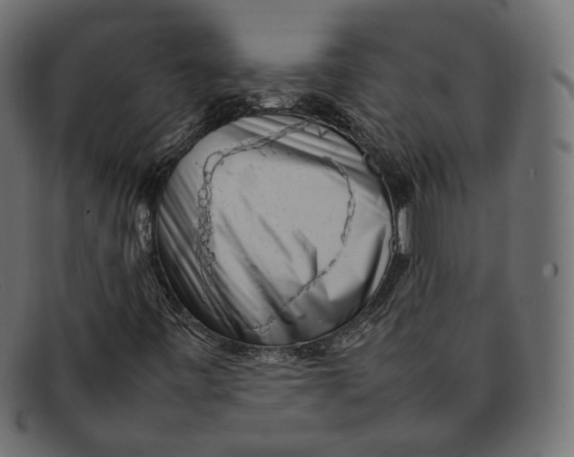 X0000092061443200710101025