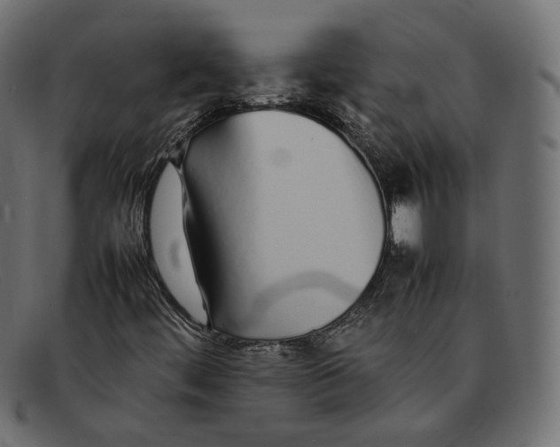 X0000092061444200710101025