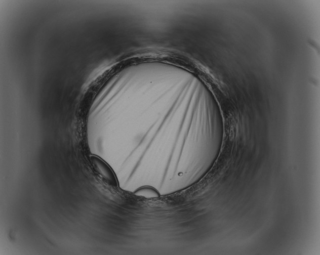 X0000092061448200710101025