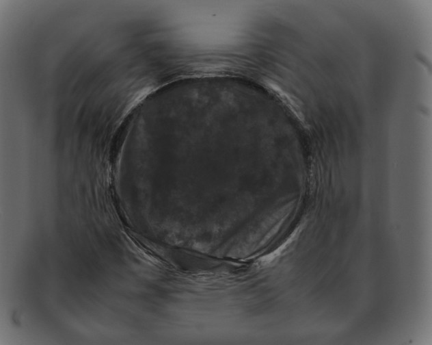 X0000092061449200710101025