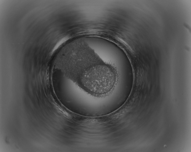 X0000092061450200710101025