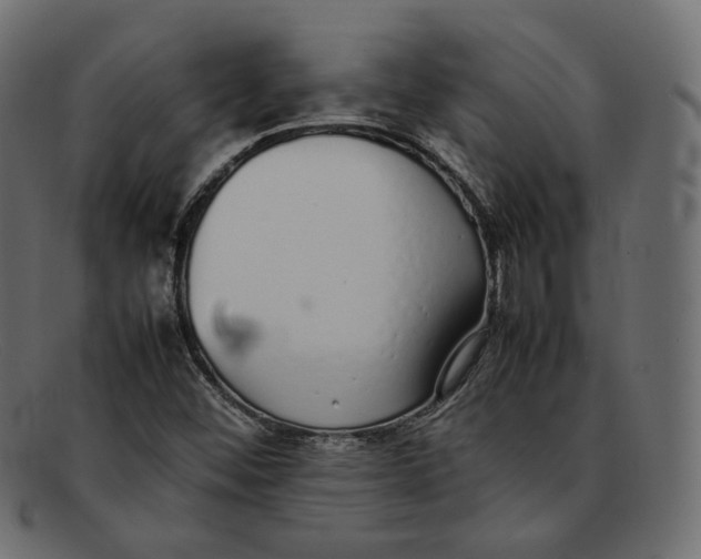 X0000092061452200710101025