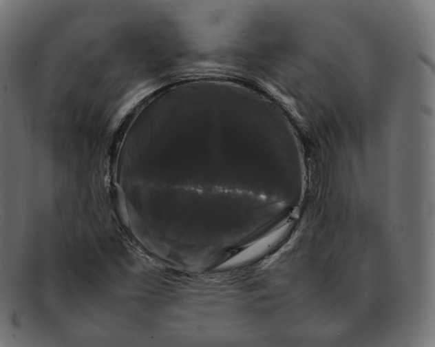 X0000092061453200710101025