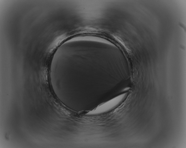 X0000092061455200710101025