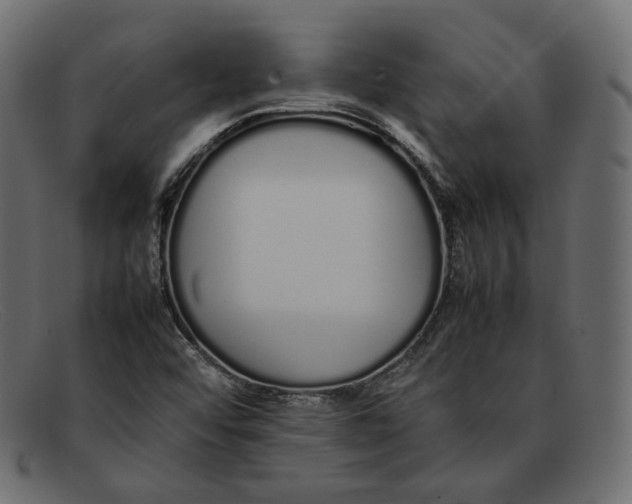 X0000092061456200710101025