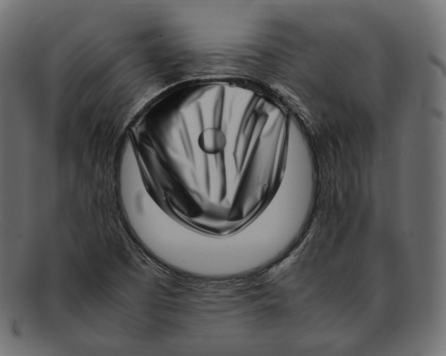 X0000092061457200710101025