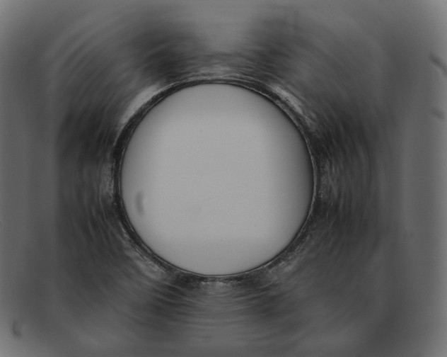 X0000092061458200710101025