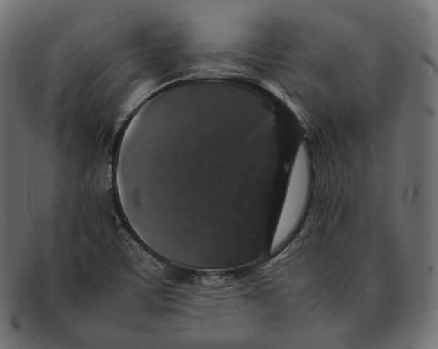 X0000092061459200710101025