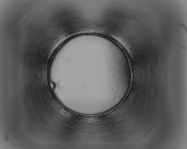 X0000092061460200710101025