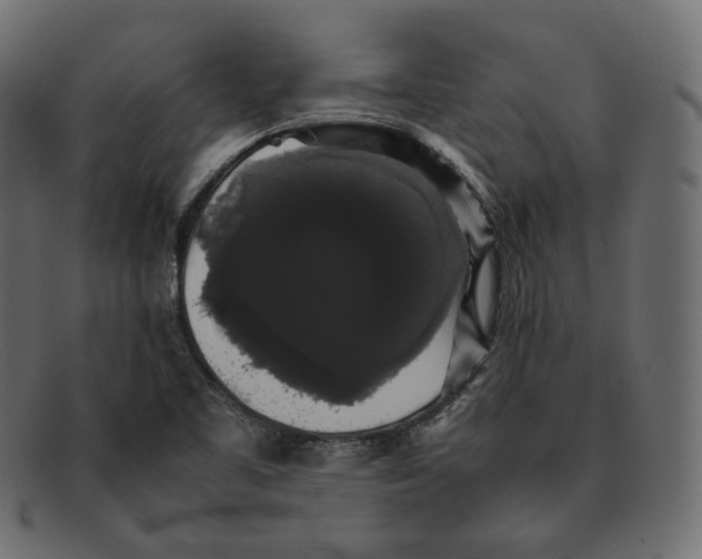 X0000092061461200710101025