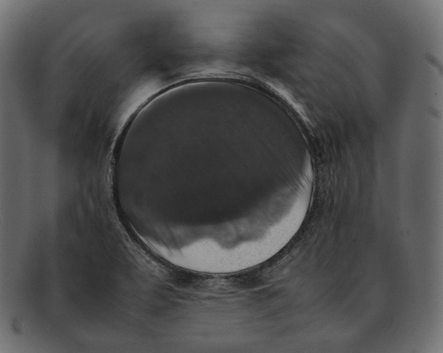 X0000092061463200710101025