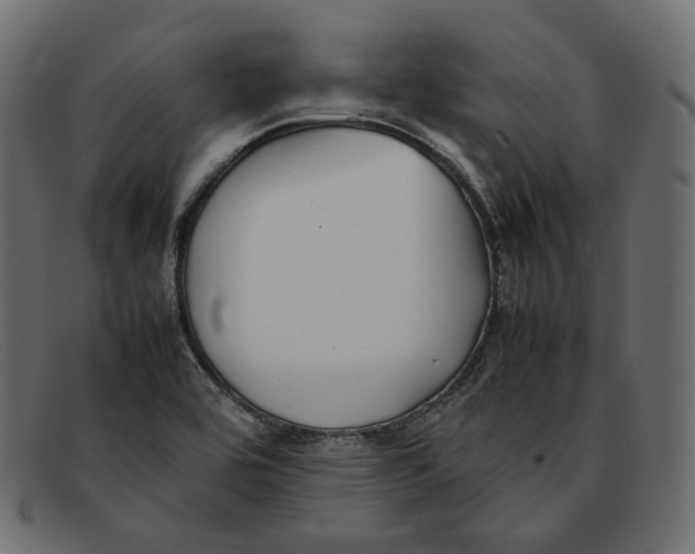 X0000092061464200710101025