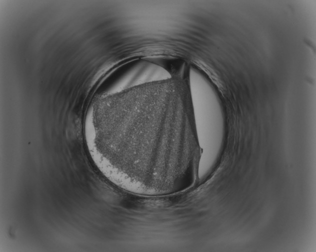 X0000092061465200710101025